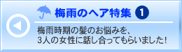 �~�J�̃w�A���W1