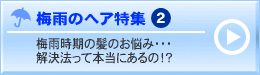 �~�J�̃w�A���W2