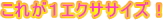 ���ꂪ1�G�N�T�T�C�Y�I