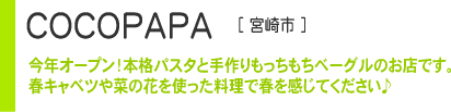 COCOPAPA