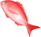 鯛