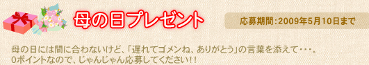 母の日プレゼント
