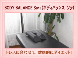 BODY BALANCE Sora�i�{�f�B�o�����X�@�\���j