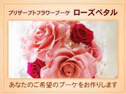 �v���U�[�u�g�t�����[�u�[�P�@���[�Y�y�^��