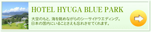 HOTEL HYUGA BLUE PARK