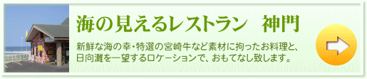 �C�̌����郌�X�g�����@�_��