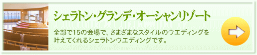 �V�F���g���E�O�����f�E�I�[�V�������]�[�g