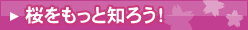 桜をもっと知ろう！