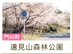 遠見山森林公園（門川町）