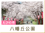 八幡丘公園（えびの市）
