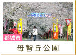 母智丘公園（都城市）