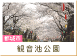 観音池公園（都城市）