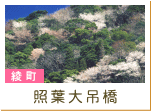 照葉大吊橋（綾町）