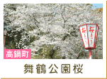 舞鶴公園桜（高鍋町）