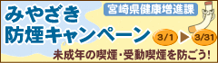 �ߤ䤶���ɱ쥭���ڡ���2010