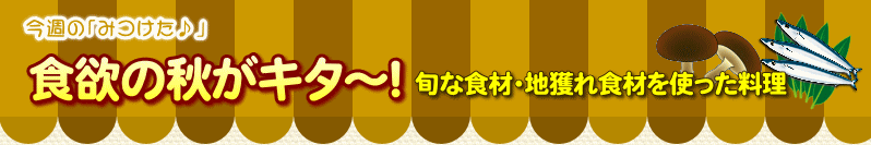 �H�~�̏H���L�^�`�I