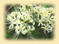 image01