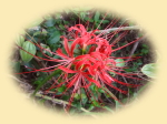 image02