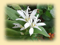 image01