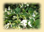 image02