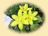 image03