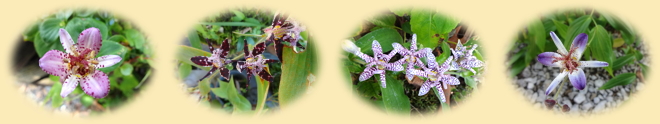 image04