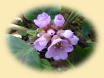�q�}�������L�m�V�^