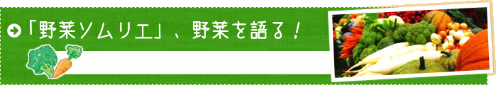 �u��؃\�����G�v�A��؂����I