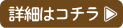 �ڂ����̓R�`��