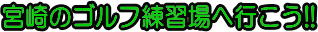�{��̃S���t���K��֍s����!!