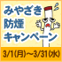�ߤ䤶���ɱ쥭���ڡ���2010