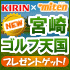 NEW �ܺꥴ���ŷ��