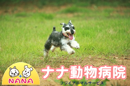 �ʥ�ưʪ�±��ʥե������˥ޥ륵���ӥ��� �ʥ�ưʪ�±��ʥե������˥ޥ륵���ӥ���