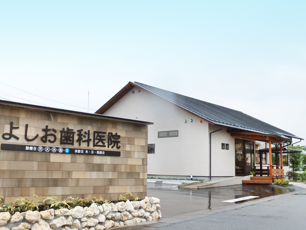 �褷�����ʰ屡 �褷�����ʰ屡