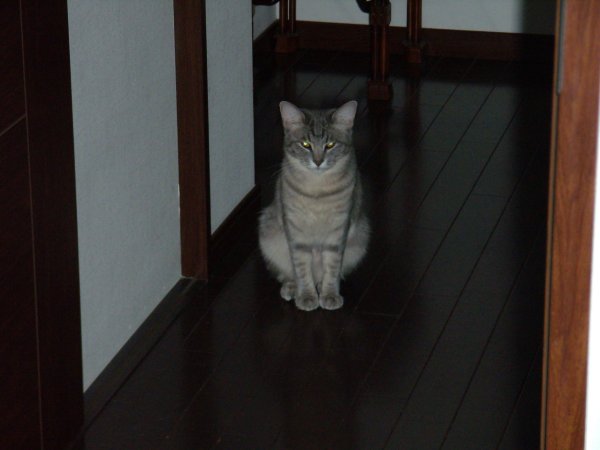 �󤯤��鸫�Ƥ���