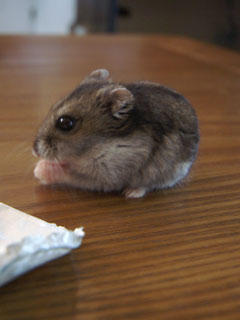 �䤹�餫��
