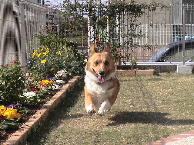 �ۤ顪����Ǥ���