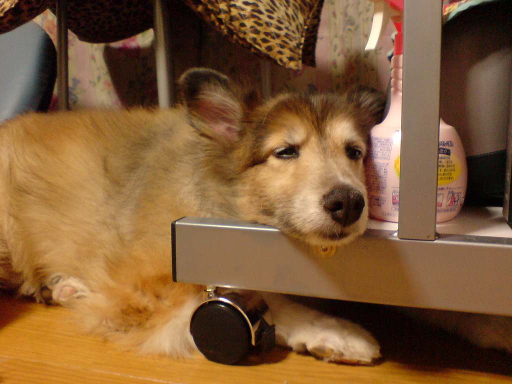 ����