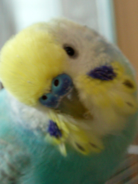 �󡩡�