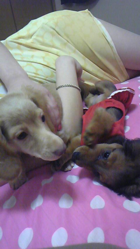 chu-����3������