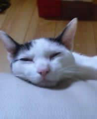 ̲����
