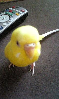 �Ϥʥǥ��� �Ϥʥǥ���