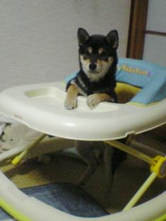 �ޤ����ʤ���