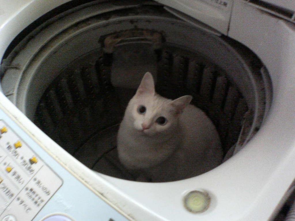 �ʤˡ�
