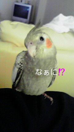 �ʤ��ˡ�