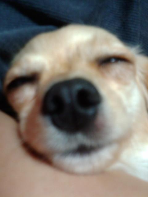 �⤥�³��ĥ��ͥ����