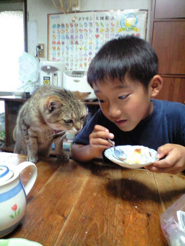 ��ˤ���礦������