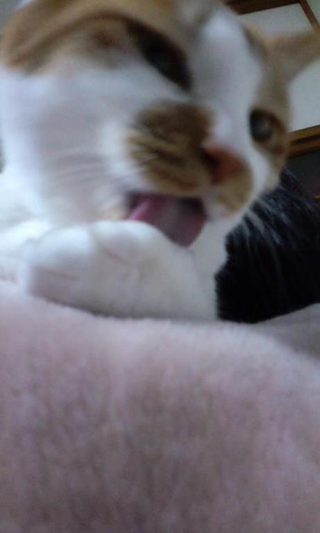 �ˤ����