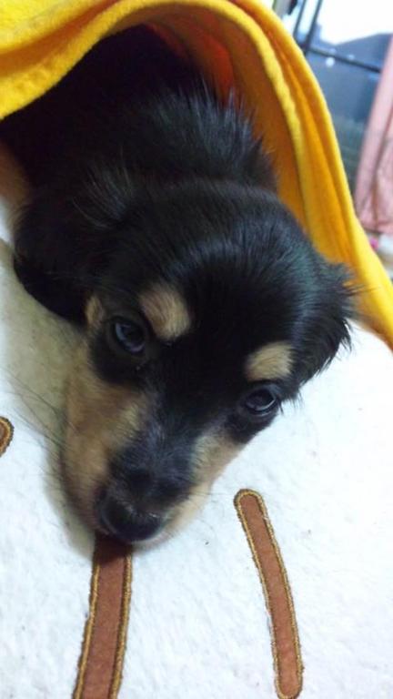 ��²�������ޤ���(*^o^*) ��²�������ޤ���(*^o^*)