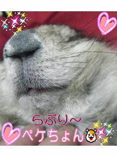 ��֥�ʿ��� ��֥�ʿ���
